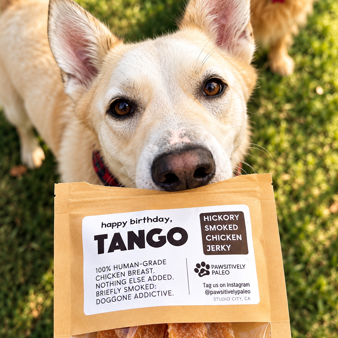 Tango with his personalized birthday treat bag